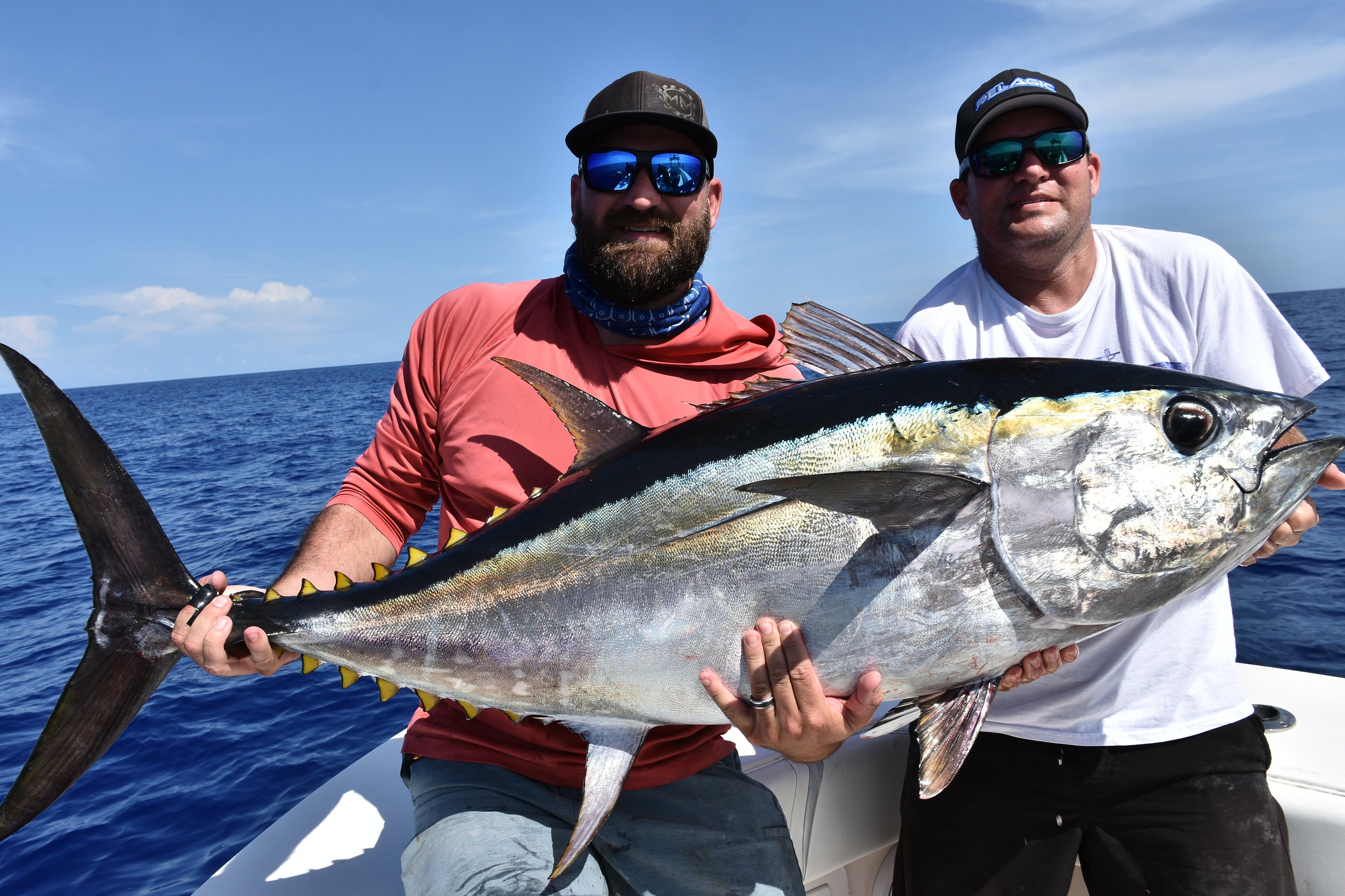 Tuna Lures