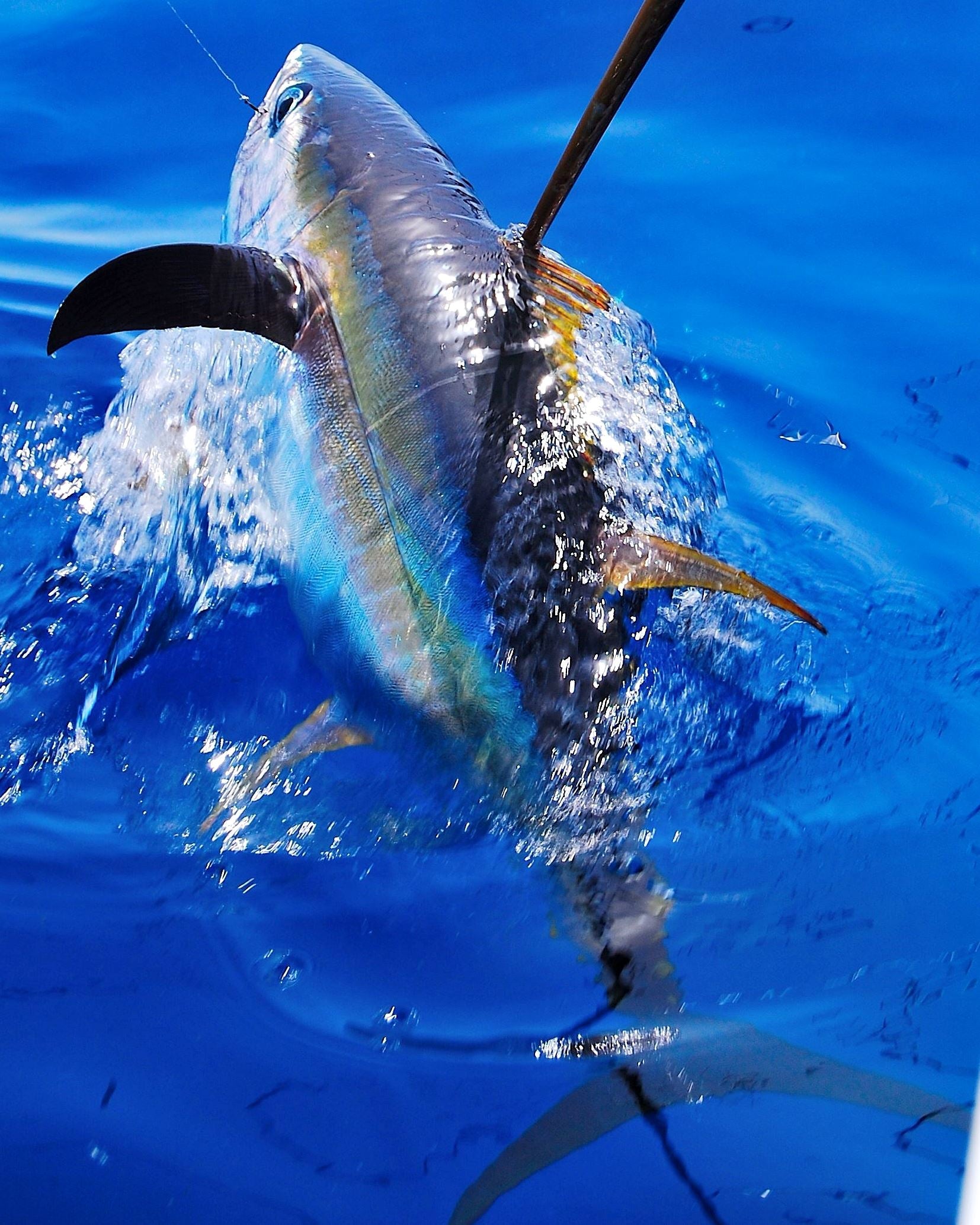 Saltwater Trolling Lures