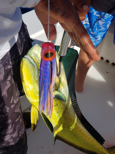 Soft Bait Lures | Mr. Softee Soft Head Lures