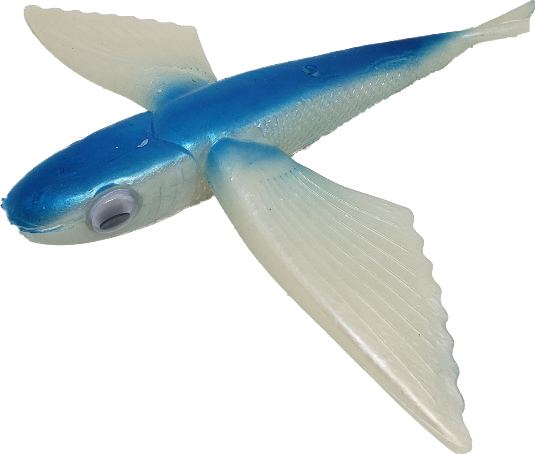 Flying Fish Large- 8.5