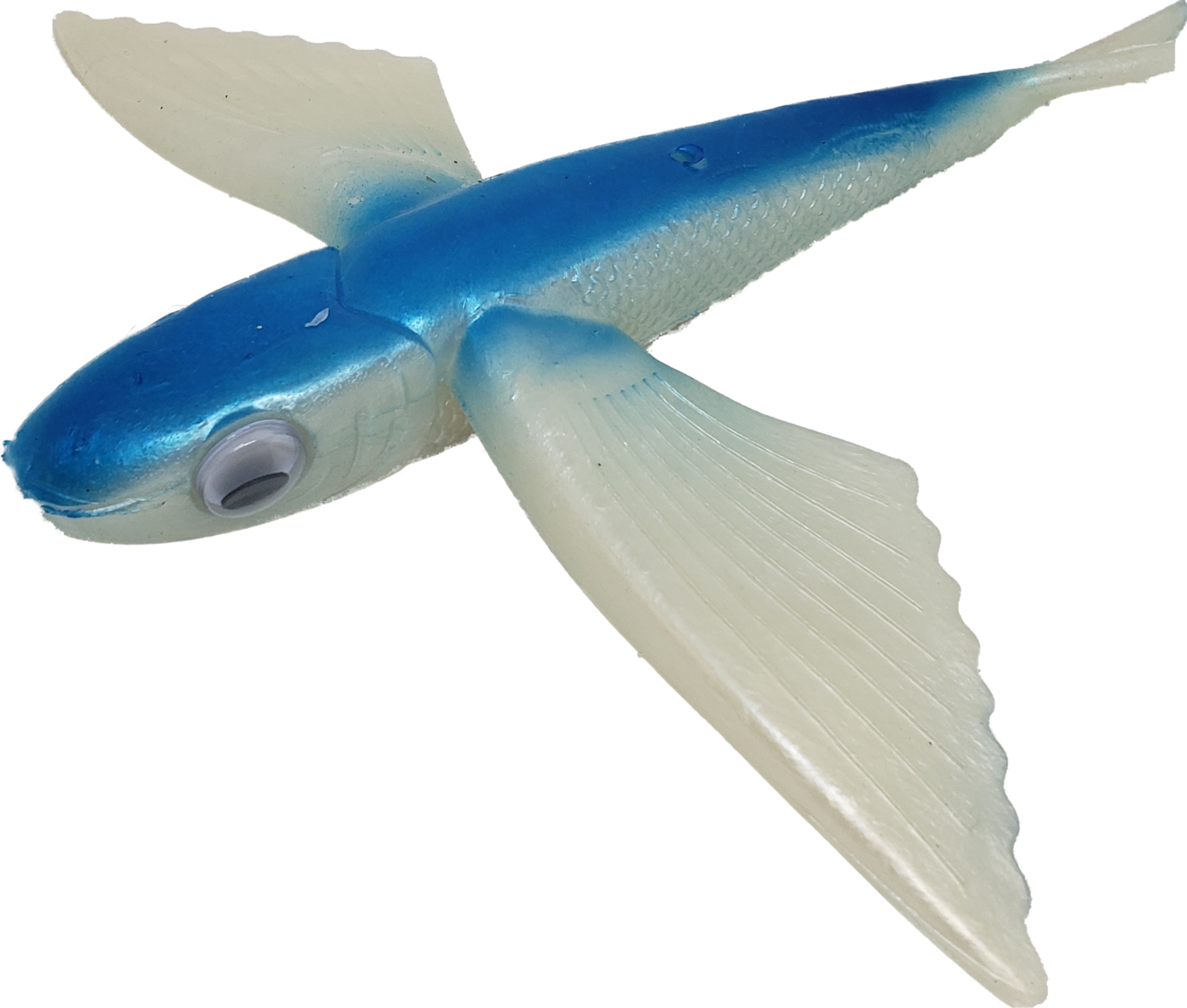 Flying Fish Large- 8.5