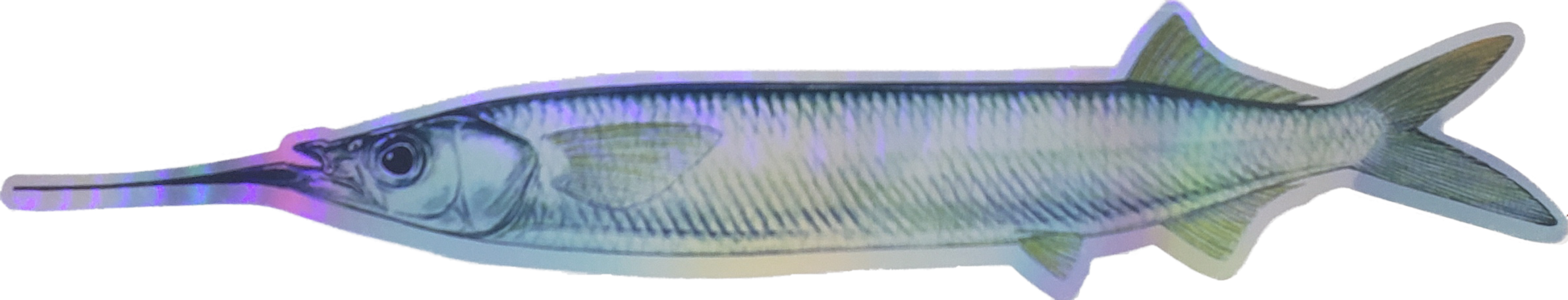 StripZ  6/pk - Condition:New / fish strips / fishing dredge. Highly effective mylar strip teasers for use on dredges and spreader bars.