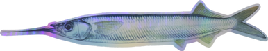 StripZ Dredge Kits - Condition:New / fish strips / fishing dredge. Equipped with our popular StripZ teasers, this complete baitfish/ballyhoo dredge kit is extremely pr...