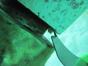 Dirty Bird Scraper - Condition:New. The blade of the "Dirty Bird" has rounded corners so it won't gouge Fiberglass, Bronze or Nibral.
