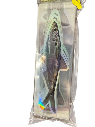 Threadfin Replacement StripZ - Condition:New. UV Printed, double laminated Threadfin StripZ.