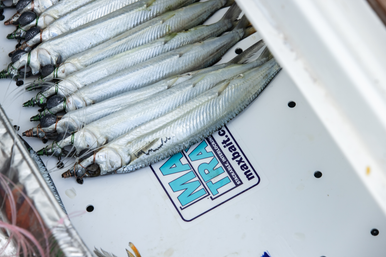 13 Series (Yeti Tundra 35) - Condition:New. Cooler trays and cutting board for your Yeti 35 Cooler.