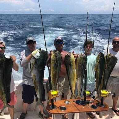Bali Bullet 7" - Condition:New / dolphin / dorado fishing. Bullet resin head.