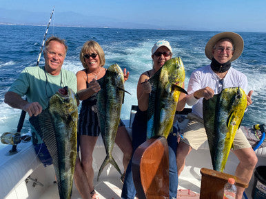 Deadly Daizy Chain - Condition:New / Daisy chain / dolphin teaser. This tournament-ready tuna daisy chain is our best-selling chain for a reason—it works! A great opti...