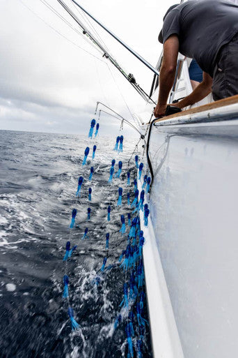 38" Dredge  with 130 Phat Squid - Condition:New / fathom / marlin dredge. A lot of bait on one dredge, makes it the ultimate artificial bait ball.